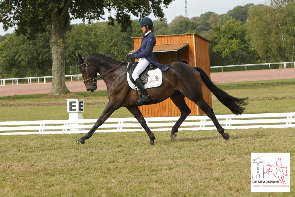 Bazoges-en-Pareds J1 : les premiers dressages