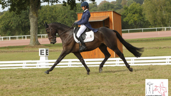 Bazoges-en-Pareds J1 : les premiers dressages