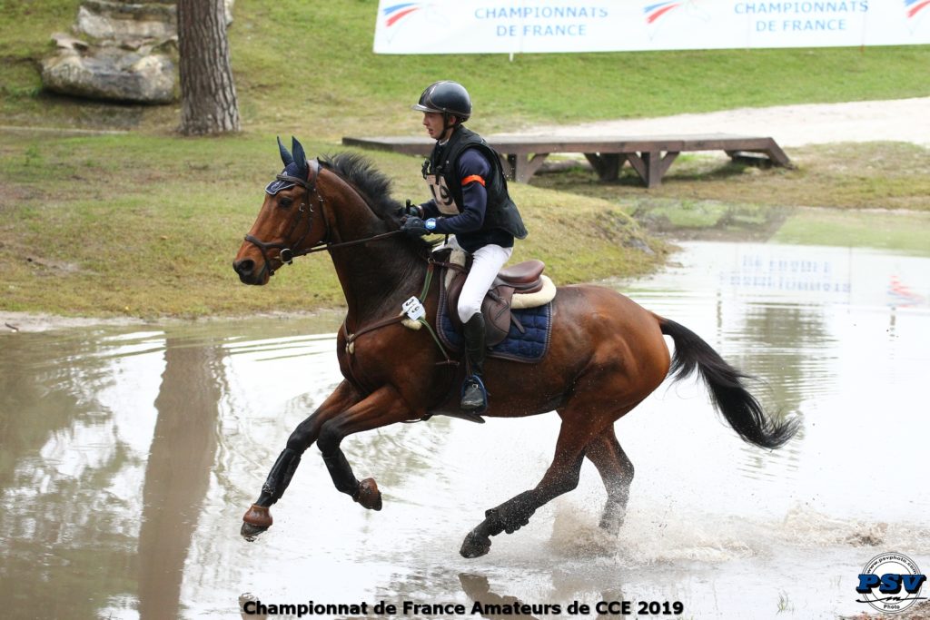 Fontainebleau : du dressage, du cross et du froid !