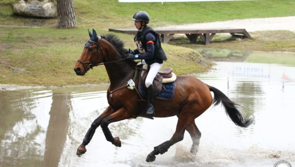 Fontainebleau : du dressage, du cross et du froid !