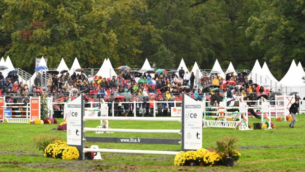 Guy-Noël Cadet : la maîtrise de l’abord en saut d’obstacles