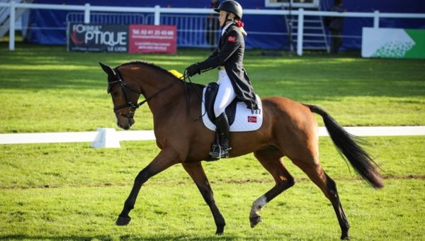 Mondial du Lion J2 : les filles dominent le dressage