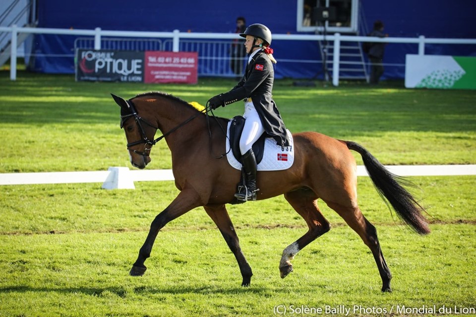 Mondial du Lion J2 : les filles dominent le dressage