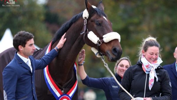 La fin de carrière d’un cheval