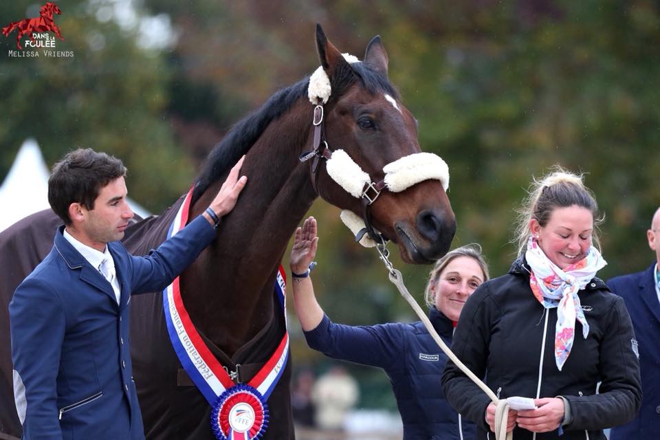 La fin de carrière d’un cheval