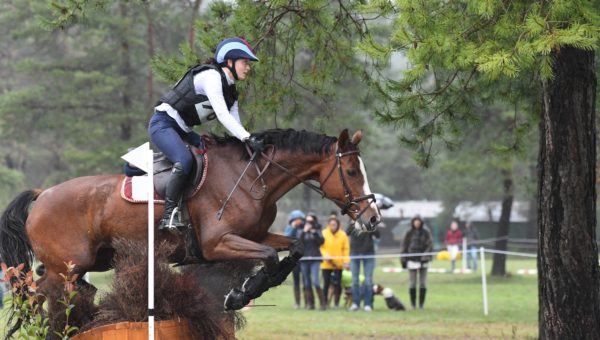 Fontainebleau : du dressage, du cross et de la pluie.