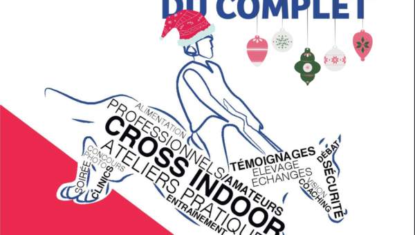 6 idées cadeaux pour un Noël Complet