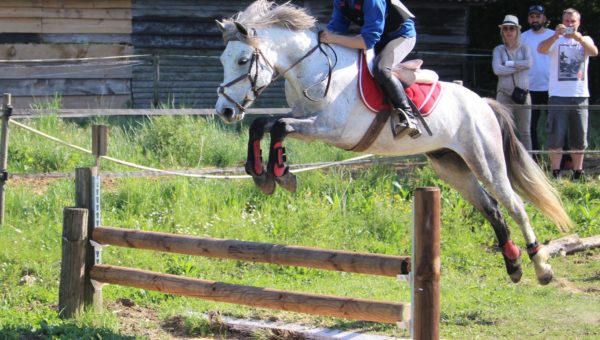 Un derby cross au haras d’Uzès