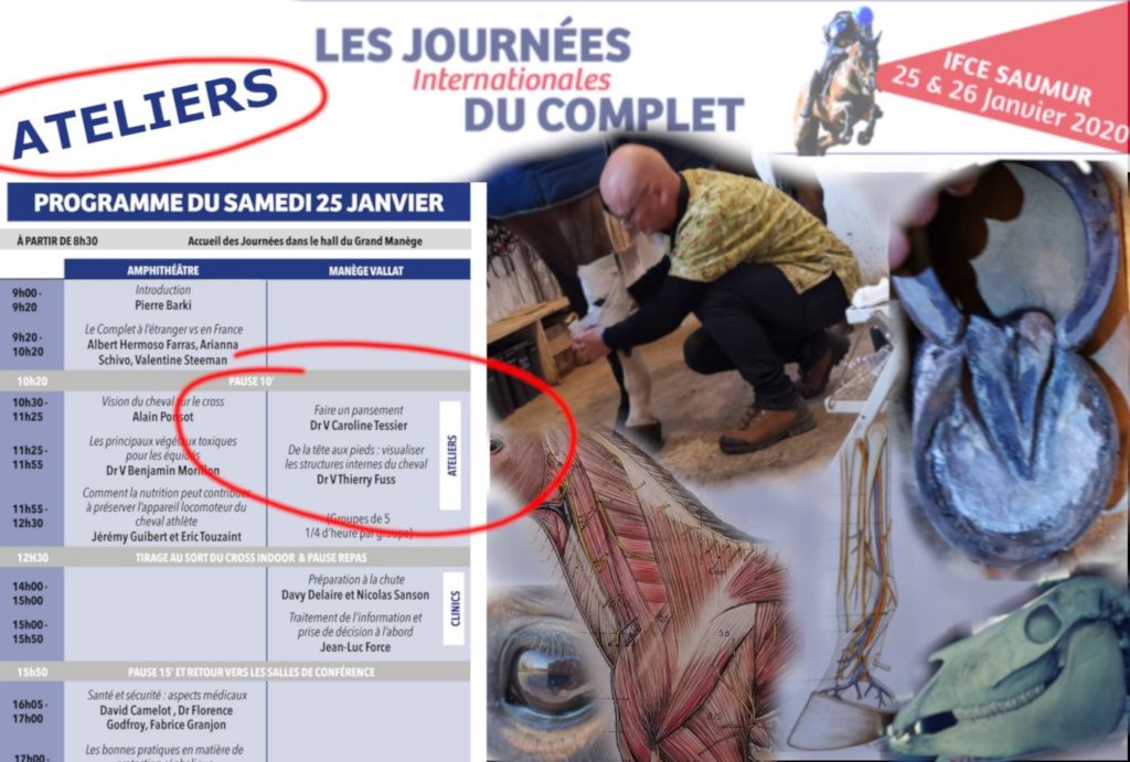 Journées : ateliers pratiques et questions juridiques