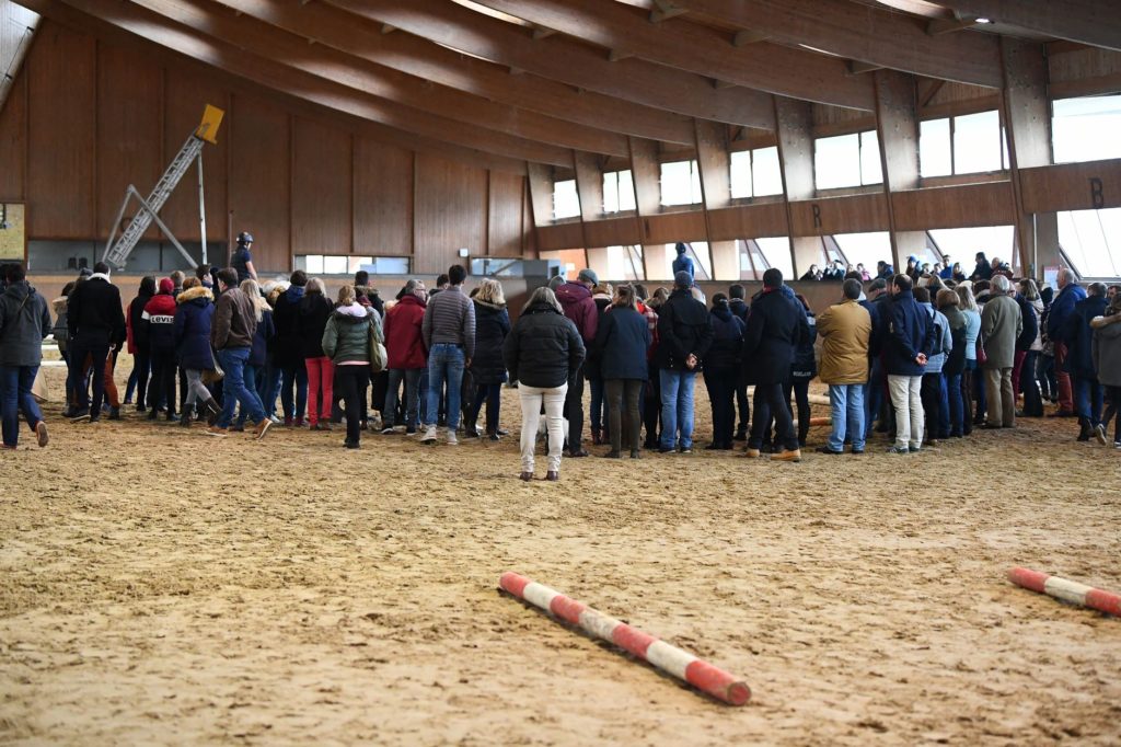 L’apprentissage de la chute