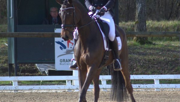 Virtual Eventing : Tom Carlile dans le top 10 du dressage