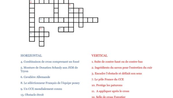 Mots croisés (réponses)