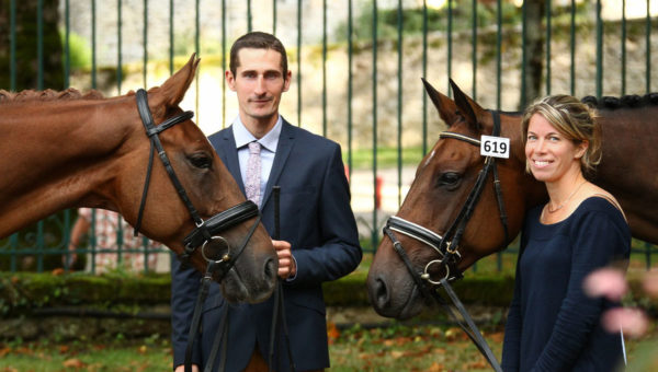 Le binôme qui forme les chevaux du futur : portrait de l’Élevage d’Aury