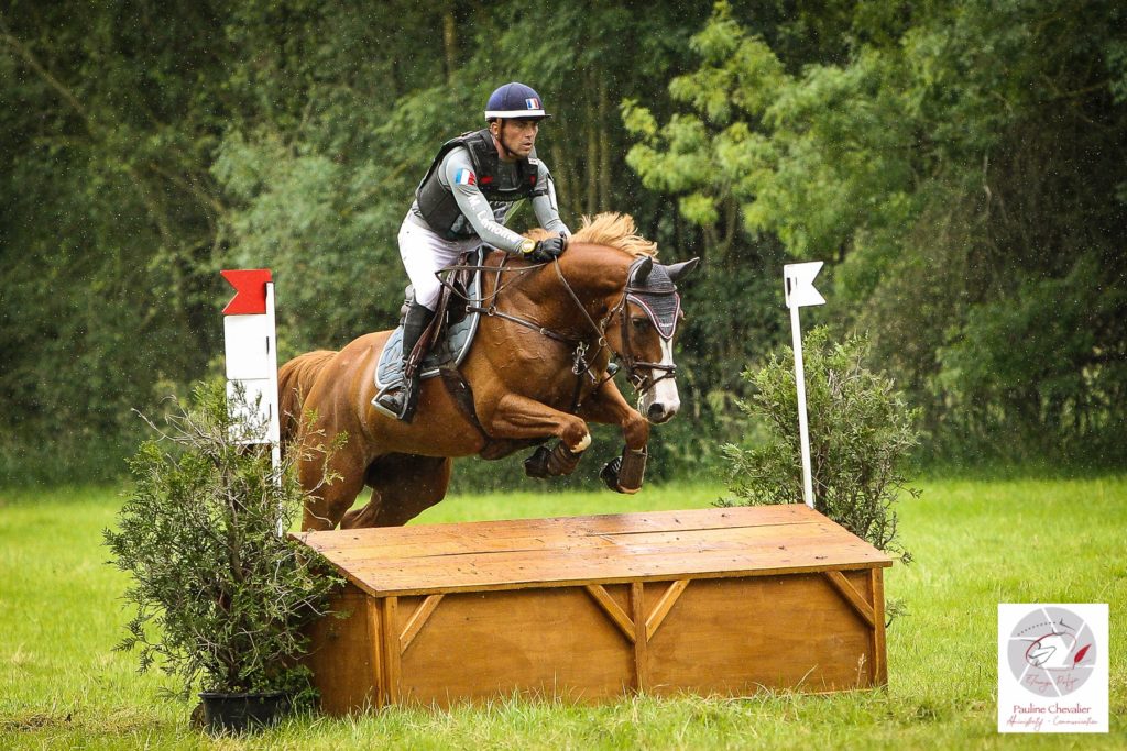 Le Lion d’Angers : Razzia de Mathieu Lemoine dans les 5 ans