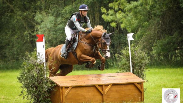 Le Lion d’Angers : Razzia de Mathieu Lemoine dans les 5 ans