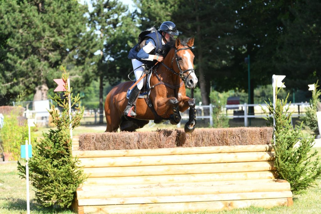 Sandillon : Chaleur et performance pour les jeunes chevaux