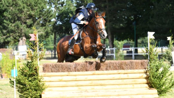 Sandillon : Chaleur et performance pour les jeunes chevaux