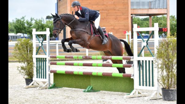 Les jeunes chevaux à l’honneur à Vernoil