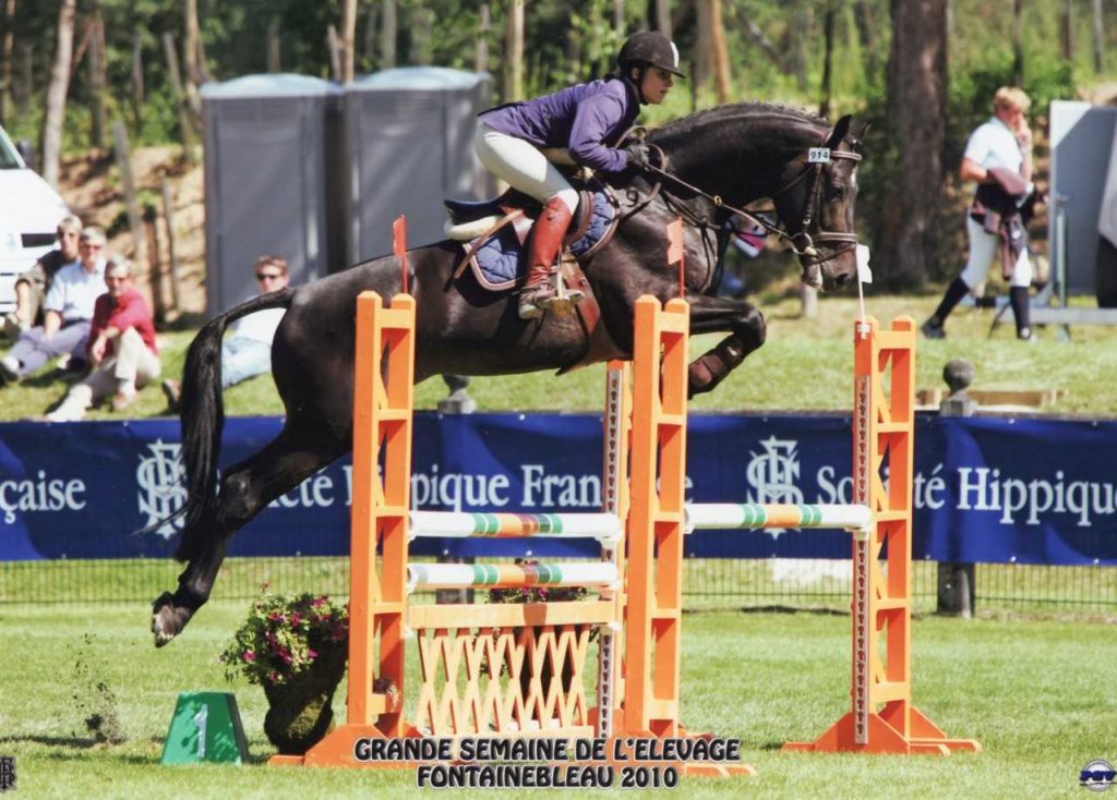 Haras de la Née : Un bel exemple de persévérance