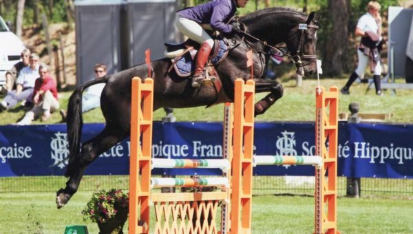 Haras de la Née : Un bel exemple de persévérance