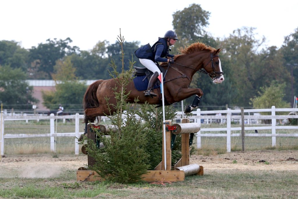 Dalrobate Fosses : meilleur 7 ans Amateur à Jardy