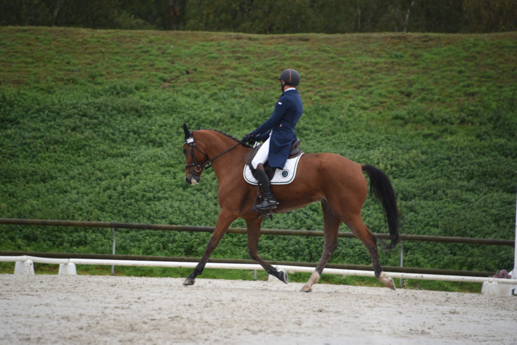 SQY : Nicolas Pertusa gagne le dressage