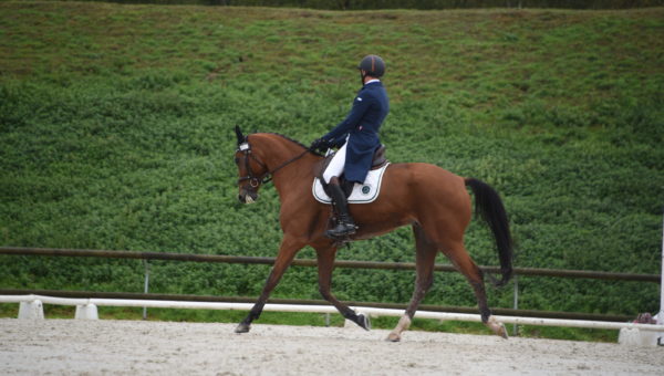 SQY : Nicolas Pertusa gagne le dressage