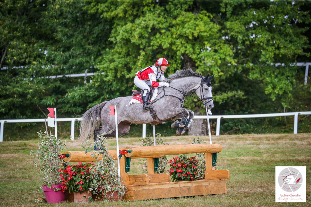 Elevage de Fay : l’Eventing dans le sang