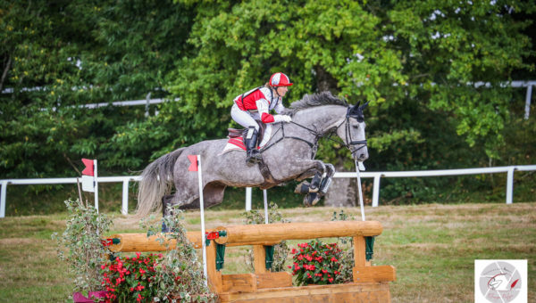 Elevage de Fay : l’Eventing dans le sang