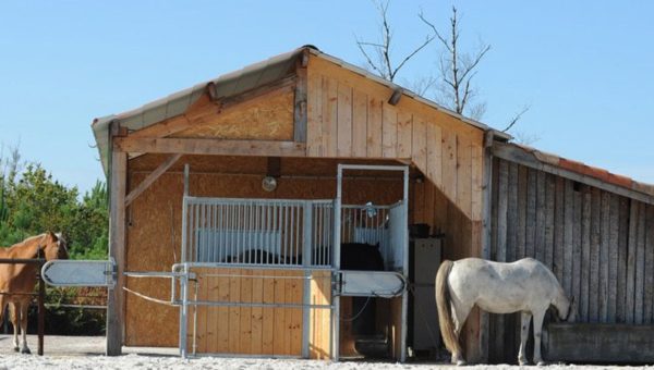 Journées du Complet : une conférence sur l’hébergement des chevaux de sport