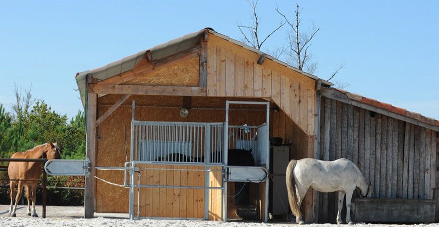 Journées du Complet : une conférence sur l’hébergement des chevaux de sport