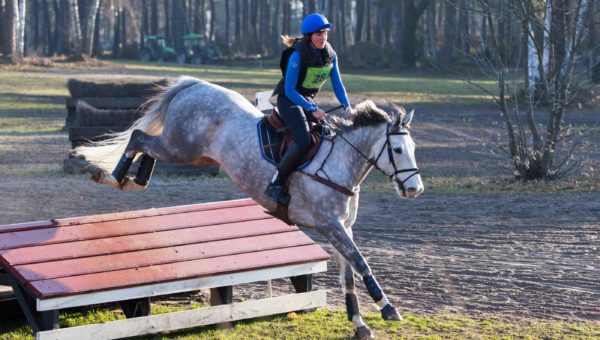 Everest Gold, meilleur 7 ans Amateur à La Ménardière – Rivières