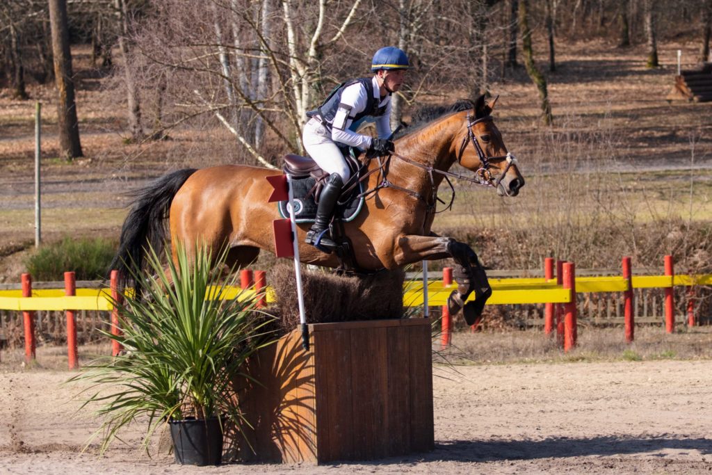 International du Pouget : premier jour de dressage