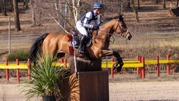 International du Pouget : premier jour de dressage