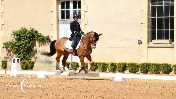 Pompadour J-1: Qing écrase la concurrence