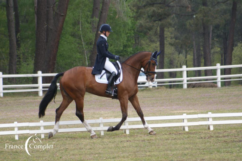 CCI4*L de Saumur: les Français en peloton derrière l’échappée allemande