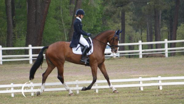 CCI4*L de Saumur: les Français en peloton derrière l’échappée allemande