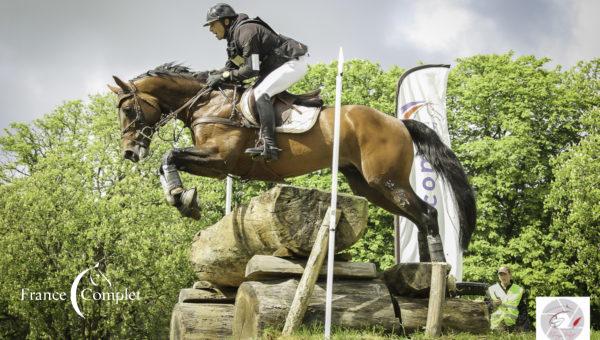 Shaloubet et Gentleman, deux Etalons qui viennent du Sud !