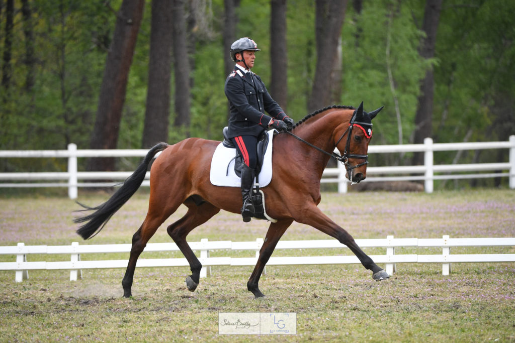 CCI4*L de Saumur : un podium international pour le premier jour du dressage