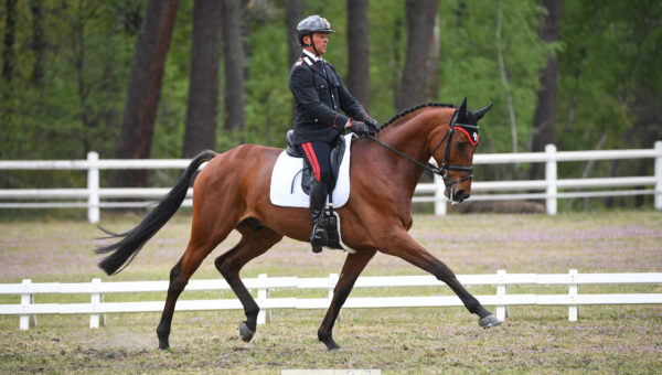 CCI4*L de Saumur : un podium international pour le premier jour du dressage