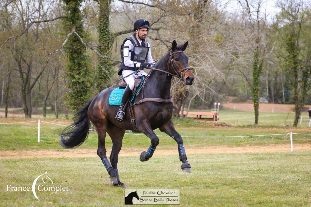 Les jeunes chevaux en formation au Mans !