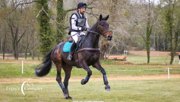 Les jeunes chevaux en formation au Mans !