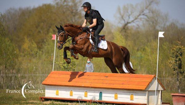 Les Meilleurs Eleveurs et Propriétaires à Montpellier, Saint-Quentin et Saumur