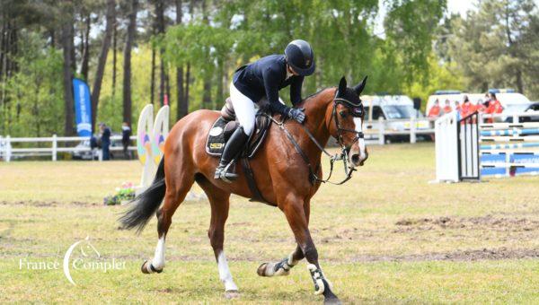 Rankings WBFSH : le Selle Français n°1 des studbooks