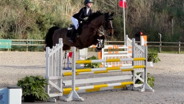 Le Meilleur 7 ans Amateur à Saint-Médard-en-Jalles