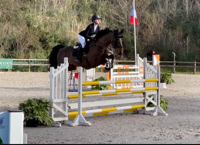 Le Meilleur 7 ans Amateur à Saint-Médard-en-Jalles