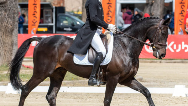 Burghley : Tim Price bat tous les scores et prend la tête du dressage