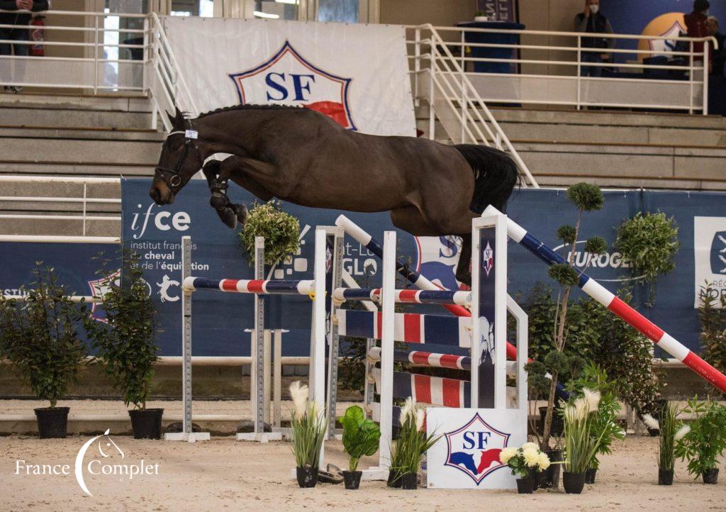 Iron Man de Favray - 5ème du Championnat de France 2020 - Coll Privée