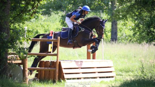 Le Prix du Meilleur Eleveur et Propriétaire au Lion d’Angers et à Pibrac