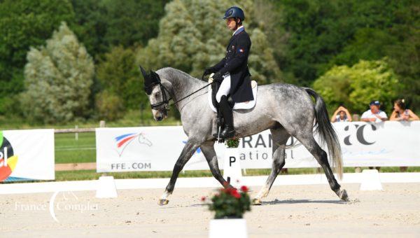 [CCI de Kronenberg] Astier Nicolas, 3ème à l’issue du dressage dans le 4*-L